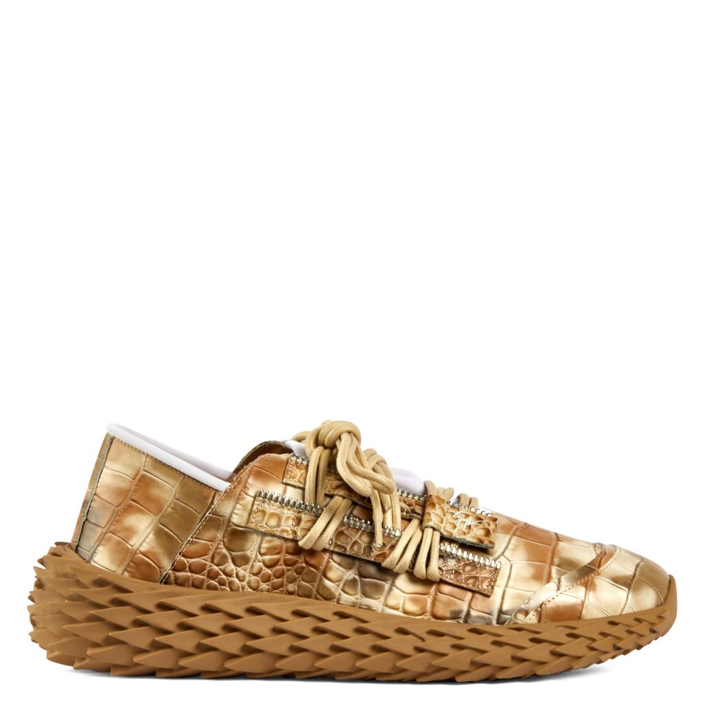 Giuseppe Zanotti Urchin (RU00051001)