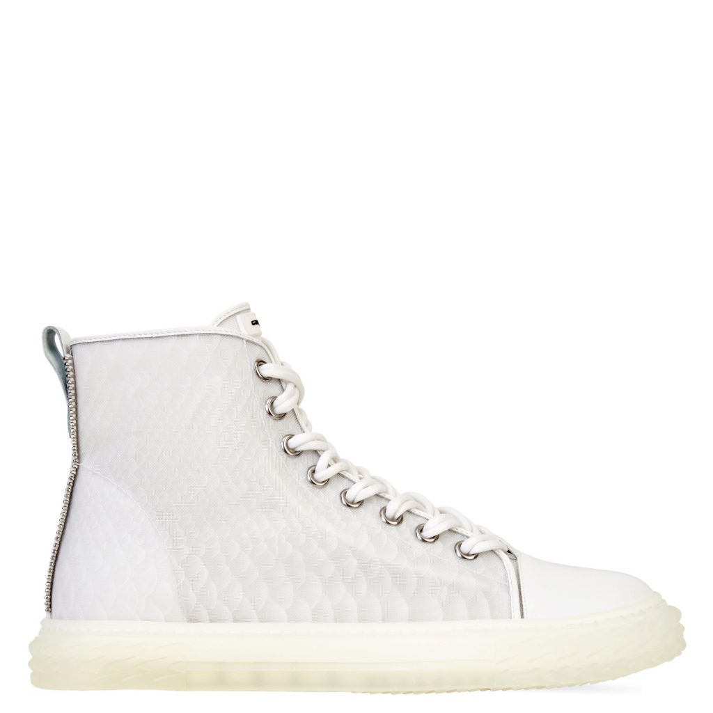 Giuseppe Zanotti Blabber jellyfish (RU00055001)