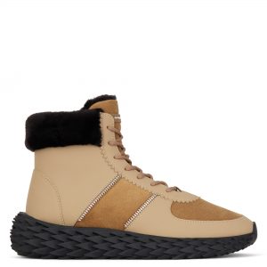 Giuseppe Zanotti Urchin (RU00074002)