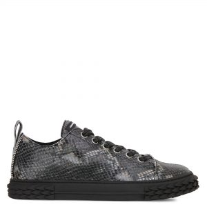 Giuseppe Zanotti Blabber (RU00085002)