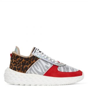 Giuseppe Zanotti Urchin (RW00035001)