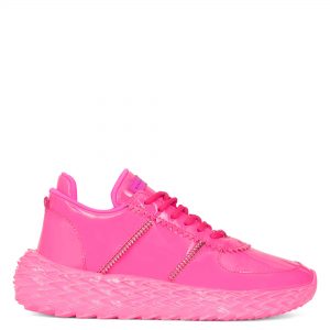 Giuseppe Zanotti Urchin (RW00077001)