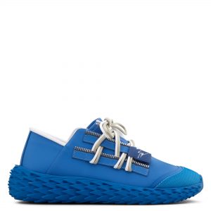 Giuseppe Zanotti Urchin (RM00031003)