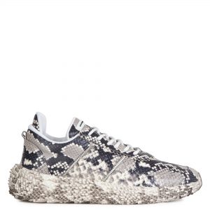 Giuseppe Zanotti Urchin (RM10008001)