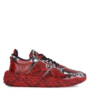 Giuseppe Zanotti Urchin (RM10008003)