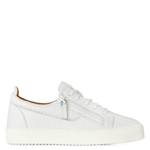 Giuseppe Zanotti Frankie (RU00043013)