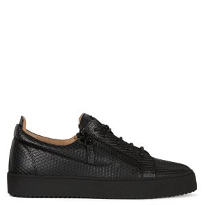 Giuseppe Zanotti Frankie (RU00043014)