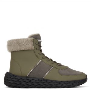 Giuseppe Zanotti Urchin (RU00074003)