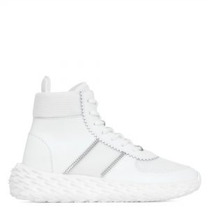Giuseppe Zanotti Urchin (RW00042001)