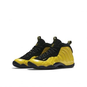 Nike Air Foamposite One Wu-Tang (GS)