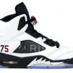 Jordan 5 Retro Paris Saint-Germain White (F&F)