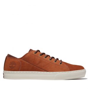 Timberland Adventure 2.0 Cupsole Oxfordschuh Braun (A41AQF13)