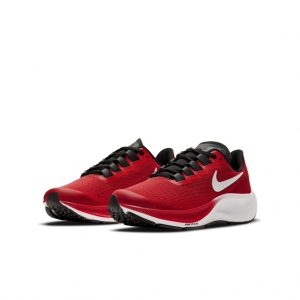 Nike Air Zoom Pegasus 37 Rot (CJ2099-600)