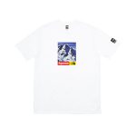 Supreme x The North Face Mountain Tee White (FW17) (TNF-MTN-FW17)