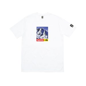 Supreme x The North Face Mountain Tee White (FW17) (TNF-MTN-FW17)