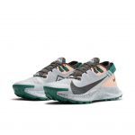 Nike Pegasus Trail 2 Grau (CK4309-004)