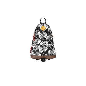 Luxury x The North Face Medium Backpack Black/White/Silver-Tone (SS21) (650288 2QNDN 8425)