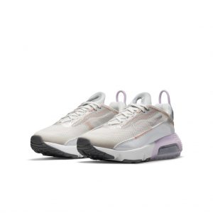 Nike Air Max 2090 Grau (CJ4066-014)