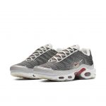 Nike Air Max Plus Wave Grid Grey