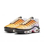 Nike Air Max Plus Sherbert