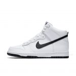 nike-dunk 904233-103
