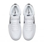 nike-dunk 904233-103