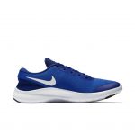 nike-flex 908985-401