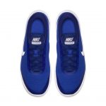 nike-flex 908985-401