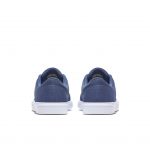 nike-sb 723874-401