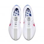 nike-air-zoom CJ8296-100