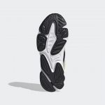 adidas-x-raf-simons-ozweego FX6058