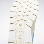 reebok-classic-leather FX3003