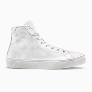 KOIO Sustainability (CTWDM1)