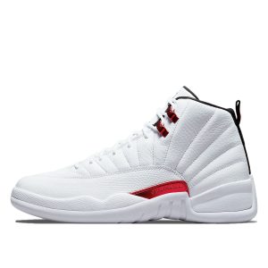 Air Jordan  12 Twist (2021) (CT8013-106)