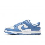 nike-dunk DD1391-102