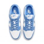 nike-dunk DD1391-102