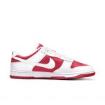 nike-dunk DD1391-600