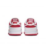 nike-dunk DD1391-600