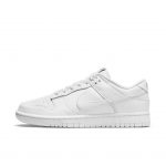 nike-dunk DD1503-109