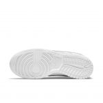 nike-dunk DD1503-109