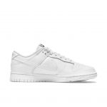 nike-dunk DD1503-109