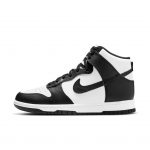 nike-dunk DD1869-103