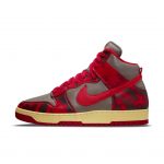 nike-dunk DD9404-600