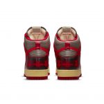 nike-dunk DD9404-600