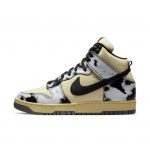 nike-dunk DD9404-700