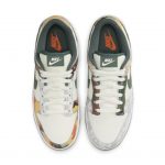 nike-dunk DH0957-100