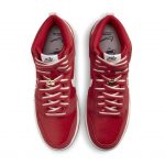nike-dunk DH0960-600