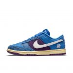 nike-dunk DH6508-400