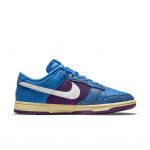 nike-dunk DH6508-400