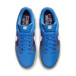 nike-dunk DH6508-400